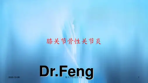 膝关节骨性关节炎(PPT课件)