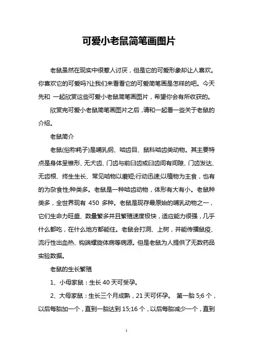可爱小老鼠简笔画图片