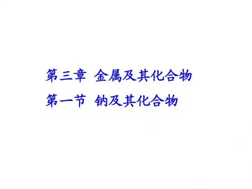 2012高考化学第一轮复习课件： 钠及其化合物