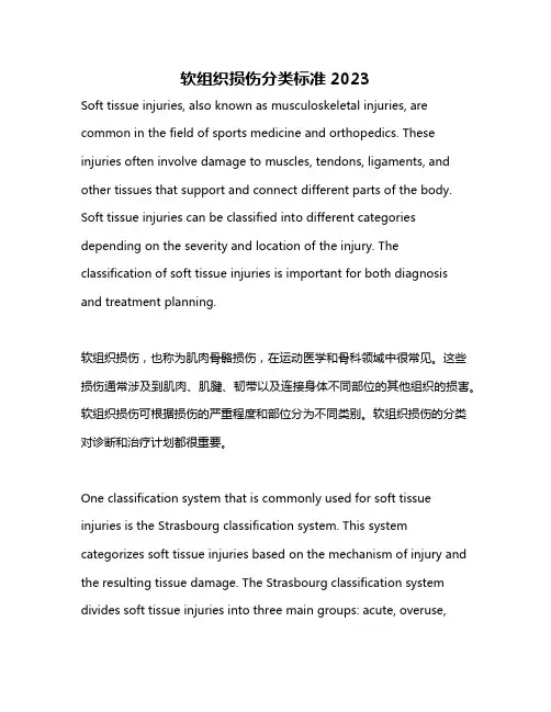 软组织损伤分类标准2023