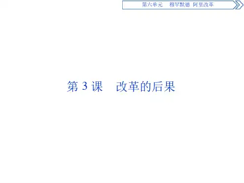 历史人教版选修1第六单元第3课改革的后果课堂