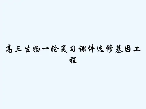 高三生物一轮复习课件选修基因工程 PPT