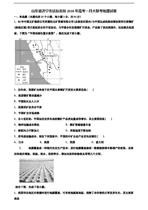 山东省济宁市达标名校2018年高考一月大联考地理试卷含解析
