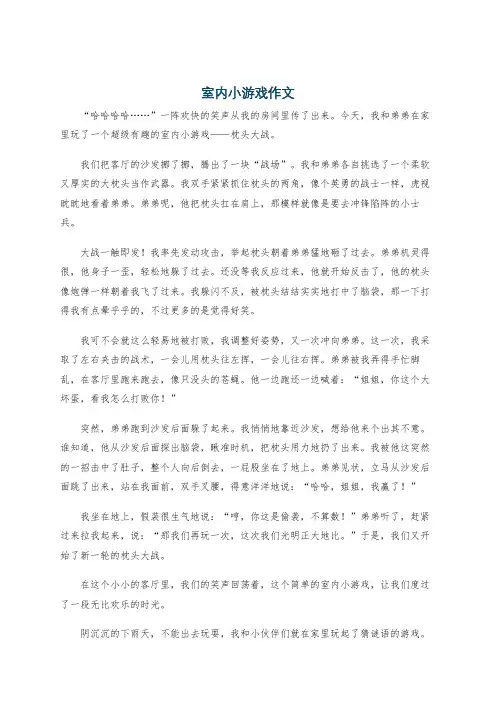 室内小游戏作文