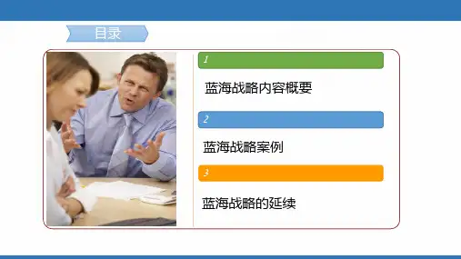 蓝海战略培训课程(PPT 45页)