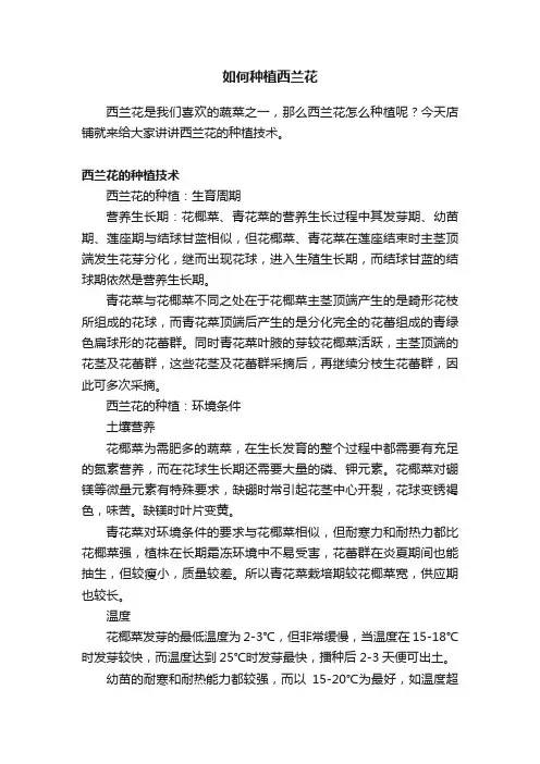 如何种植西兰花