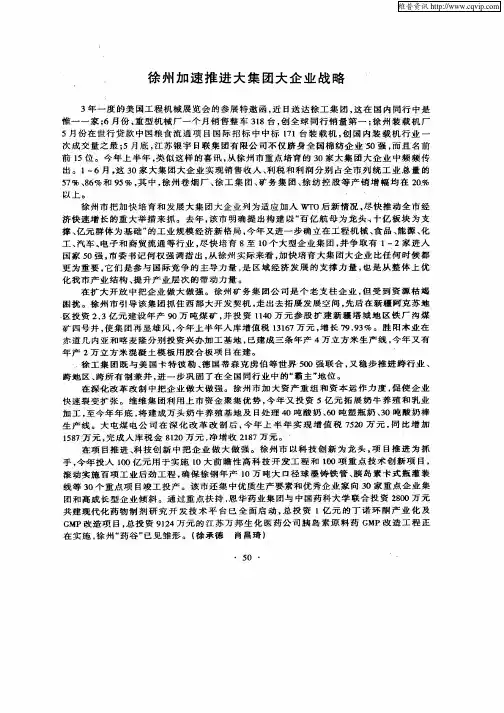 徐州加速推进大集团大企业战略
