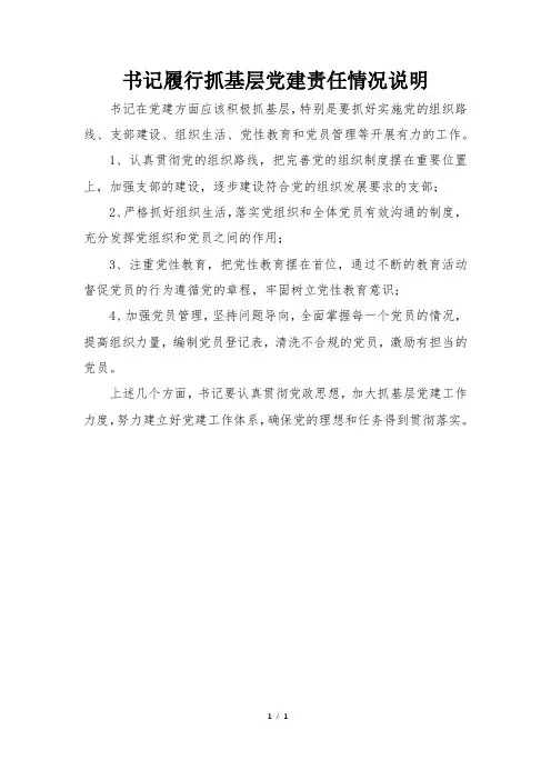 书记履行抓基层党建责任情况说明