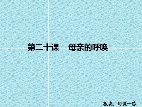 语文S版四年级语文下册《母亲的呼唤练习》课件