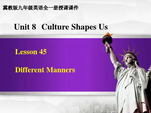 冀教版九年级英语全一册 Lesson 45 授课课件