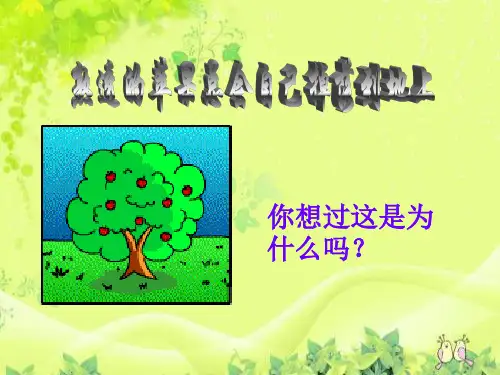 四年级下册科学课件-第四单元第三课苹果为什么会落地  苏教版共12张PPT