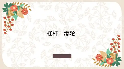 中考物理一轮复习课件杠杆滑轮(精)2