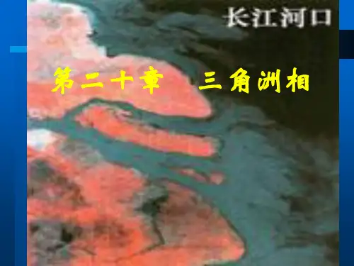 20沉积岩沉积相三角洲相