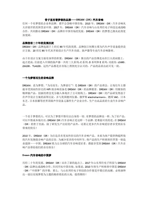 骨子里有着梦想的品牌——DREAM(DR)汽车音响