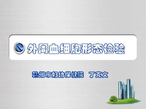 外周血细胞形态检验