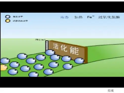 高中生物必修一第5章复习课件