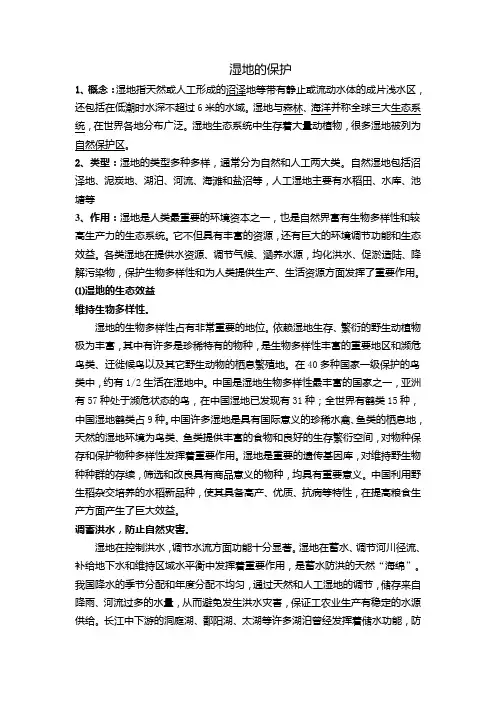 湿地的基本概况