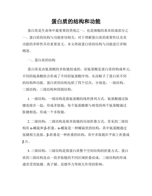 蛋白质的结构和功能