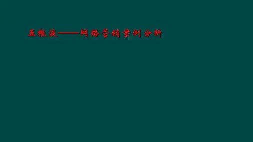 五粮液——网络营销案例分析