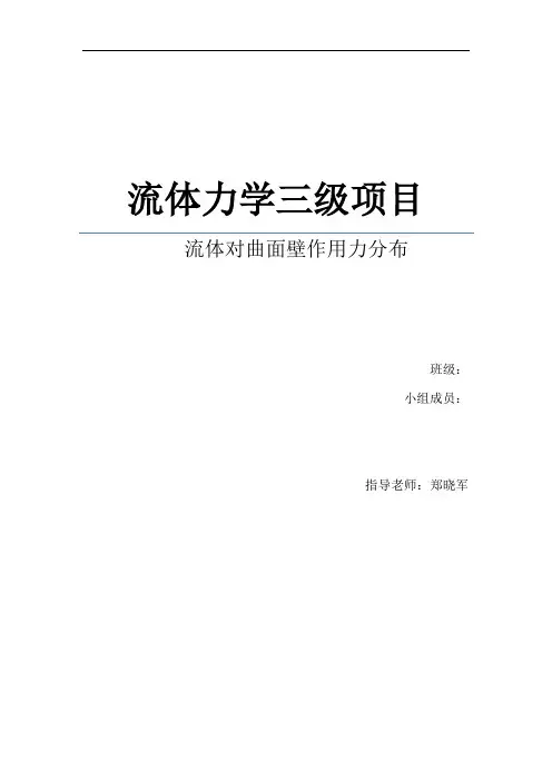 燕山大学工程流体力学三级项目研究报告