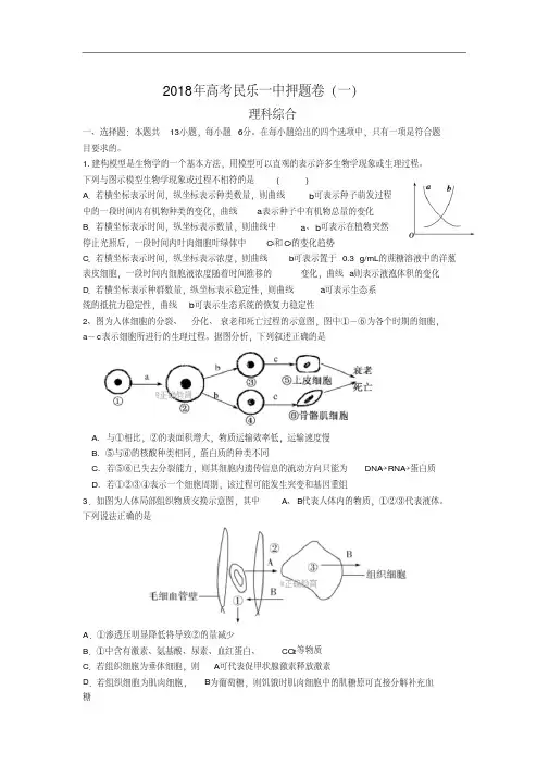 甘肃省民乐县一中2018届高三压轴卷(一)理科综合试卷