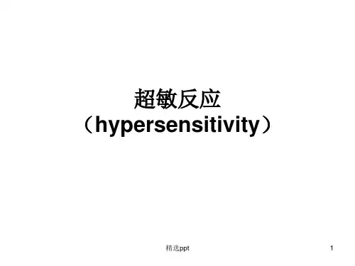 食品免疫学超敏反应PPT课件