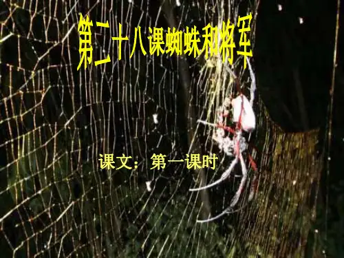 蜘蛛和将军