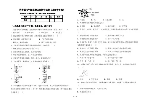 济南版七年级生物上册期中试卷(及参考答案)