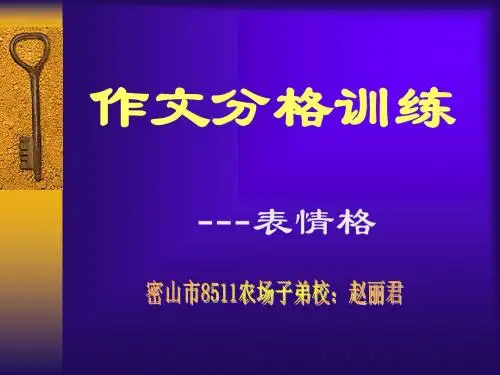 作文分格训练--表情格