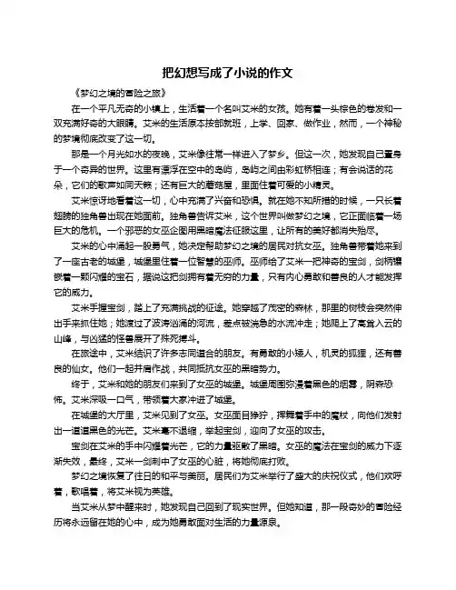 把幻想写成了小说的作文
