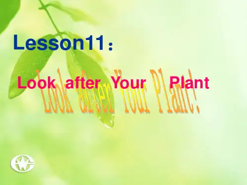 八年级英语下册_lesson11课件_冀教版