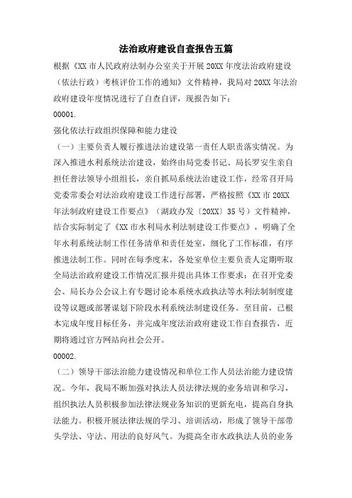 法治政府建设自查报告五篇