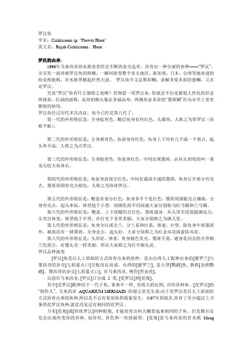 罗汉鱼该如何饲养