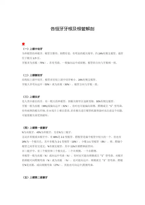 各恒牙牙根及根管解剖