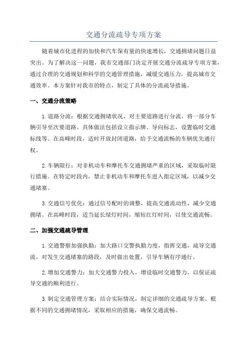 交通分流疏导专项方案