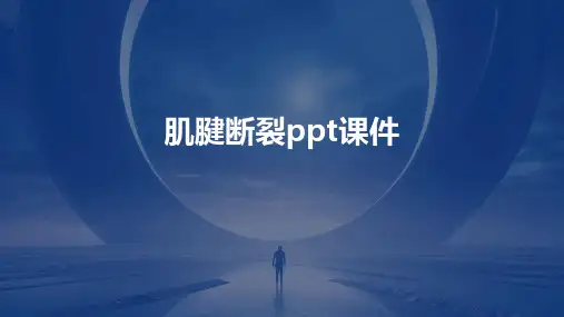 肌腱断裂ppt课件