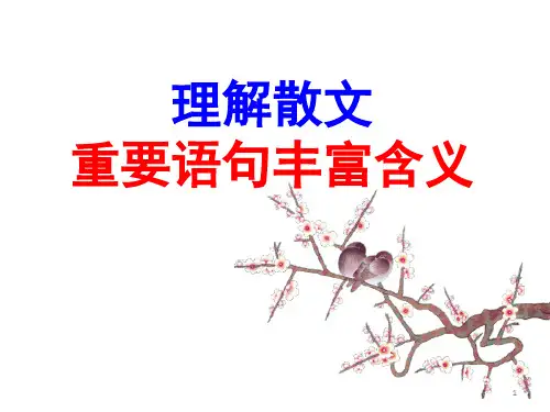 理解散文重要语句丰富含义ppt课件
