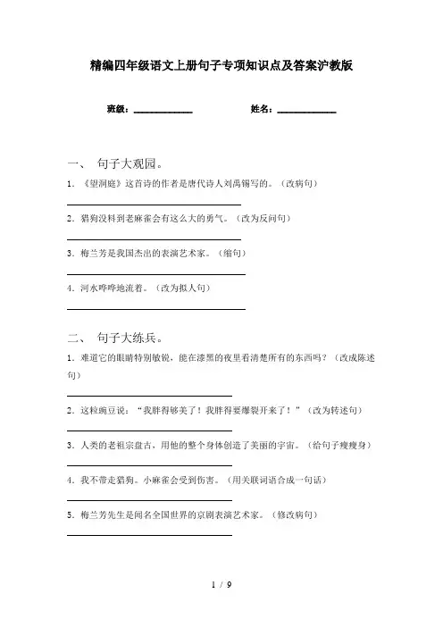 精编四年级语文上册句子专项知识点及答案沪教版