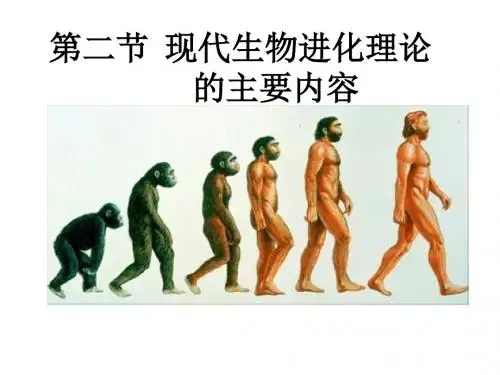 人教版高中生物必修2第七章《现代生物进化理论的主要内容》课件