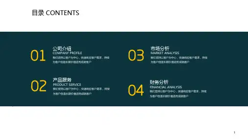 公司项目策划ppt模板课件