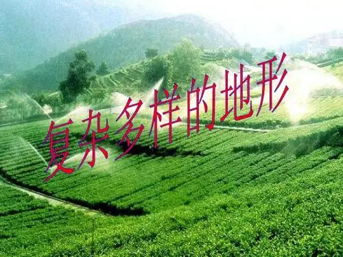 浙江省宁海县七年级历史与社会上册 第三单元第二课《山川秀美》第一框 复杂多样的地形课件 人教版