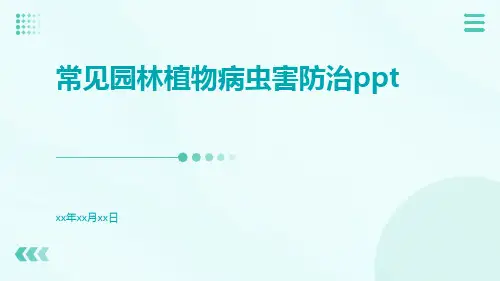 常见园林植物病虫害防治ppt