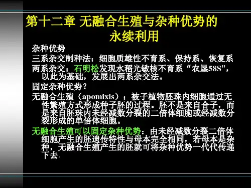第12章 无融合生殖与杂种优势的永续利用