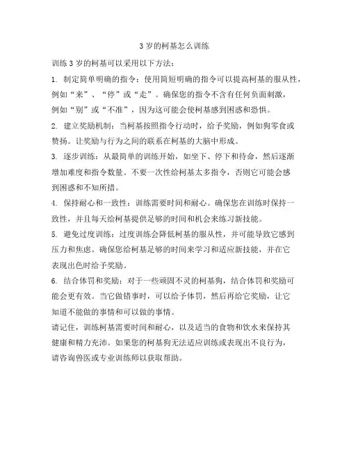 319 3岁的柯基怎么训练