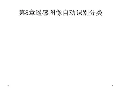 第8章遥感图像自动识别分类