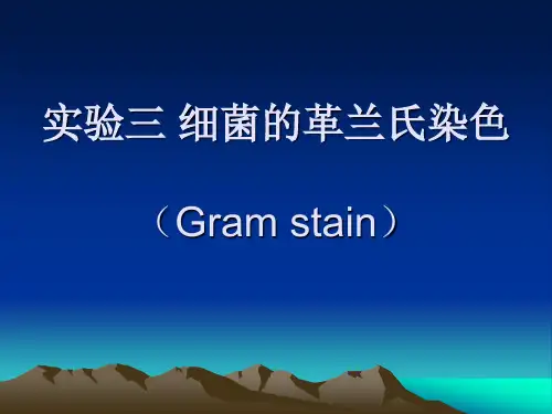 实验三细菌的革兰氏染色(Gram stain)