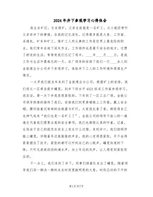 2024年井下参观学习心得体会（五篇）
