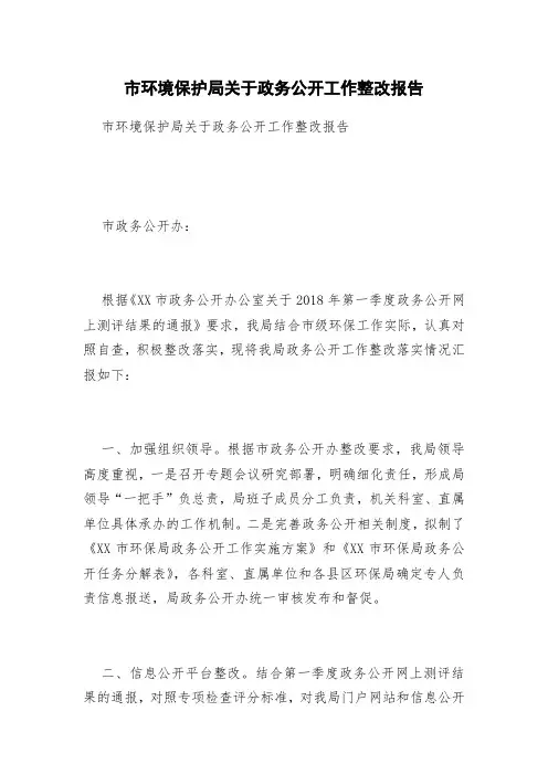 市环境保护局关于政务公开工作整改报告