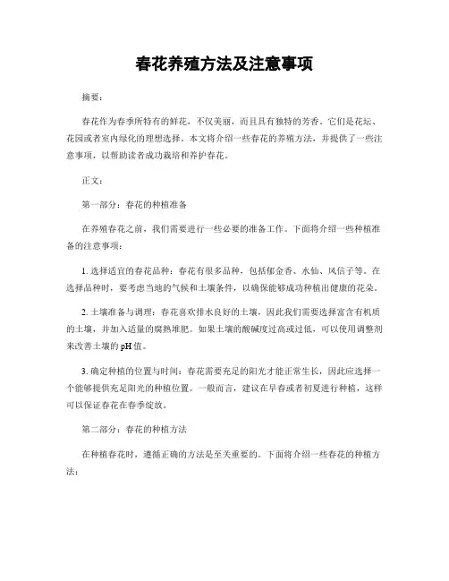 春花养殖方法及注意事项