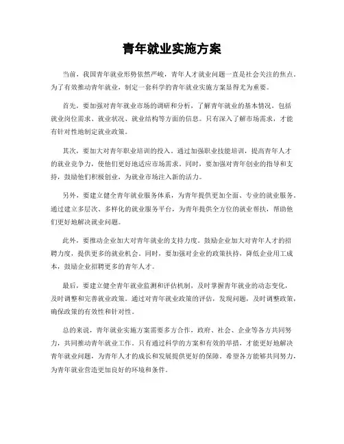 青年就业实施方案